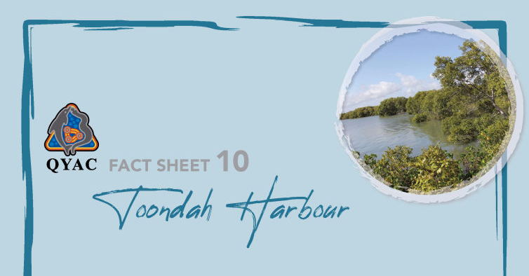 QYAC fact sheet 10 on Toondah Harbour